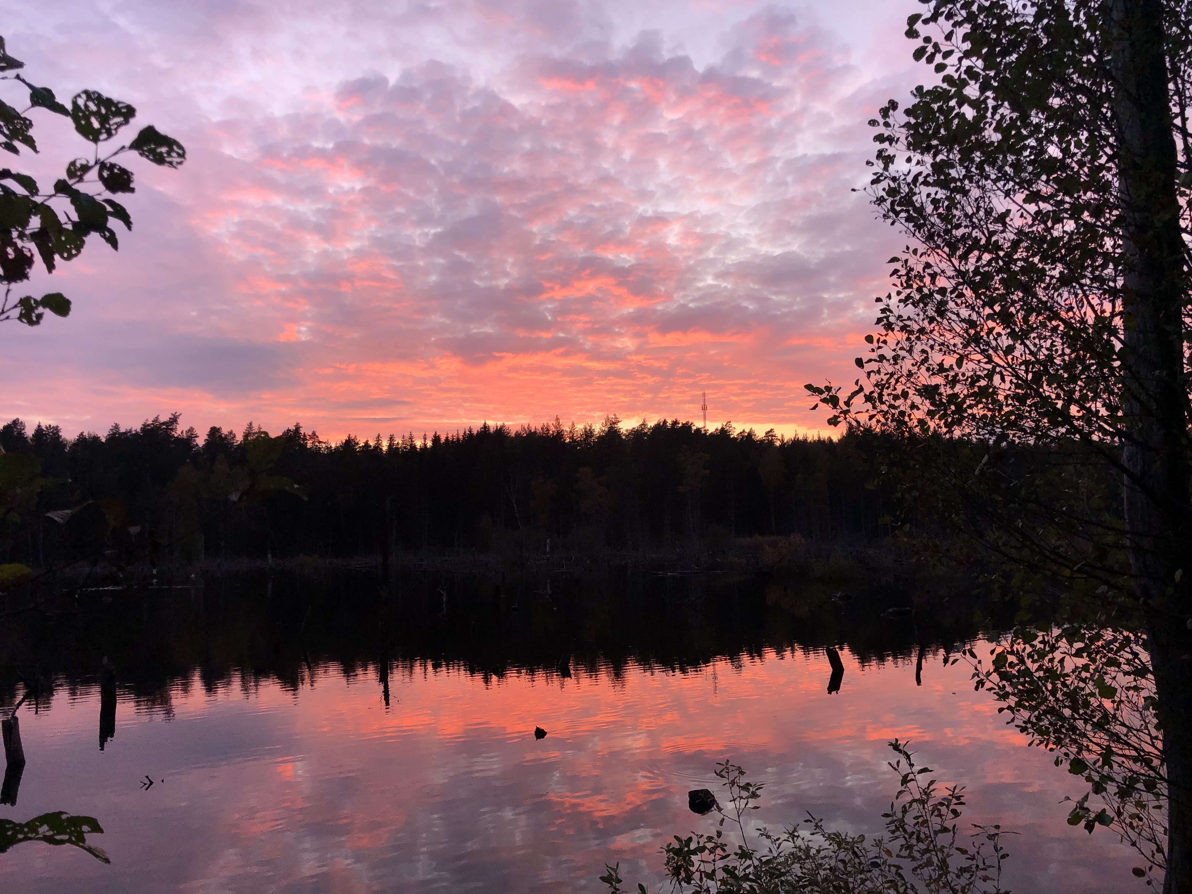 Bogesund Lake Nature Reserve Sweden
